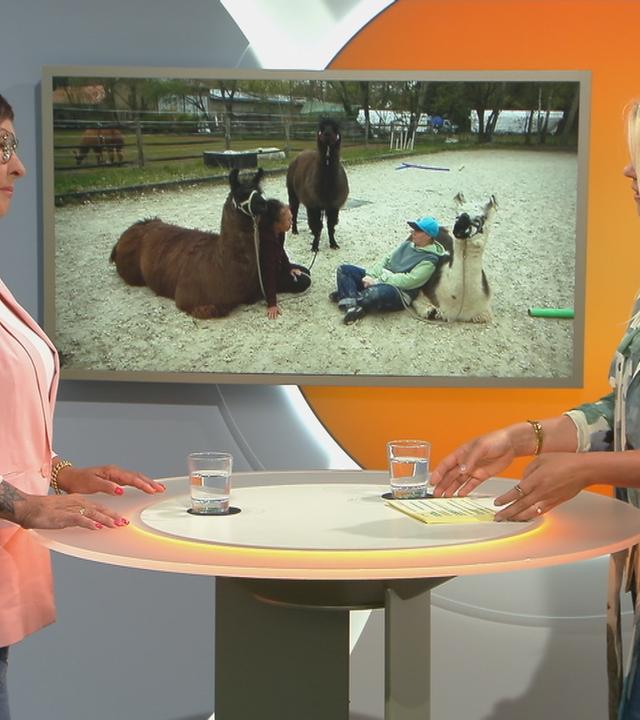 Diplom-Sozialarbeiterin Dorothea Dapper im Geaspräch mit Nadine Krüger. Im Hintergrund ein Bild mit Lamas.