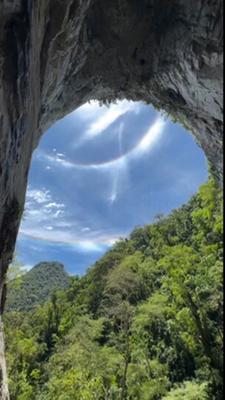 Doppelter Regenbogen über einem Wald. 