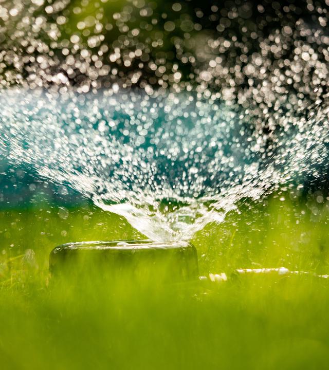 Aktuell ist es in Deutschland drückend heiß. In einigen Orten liegt der letzte Regen schon lange zurück. Das macht sich bemerkbar: Die ersten Gemeinden rufen zum Wassersparen auf.