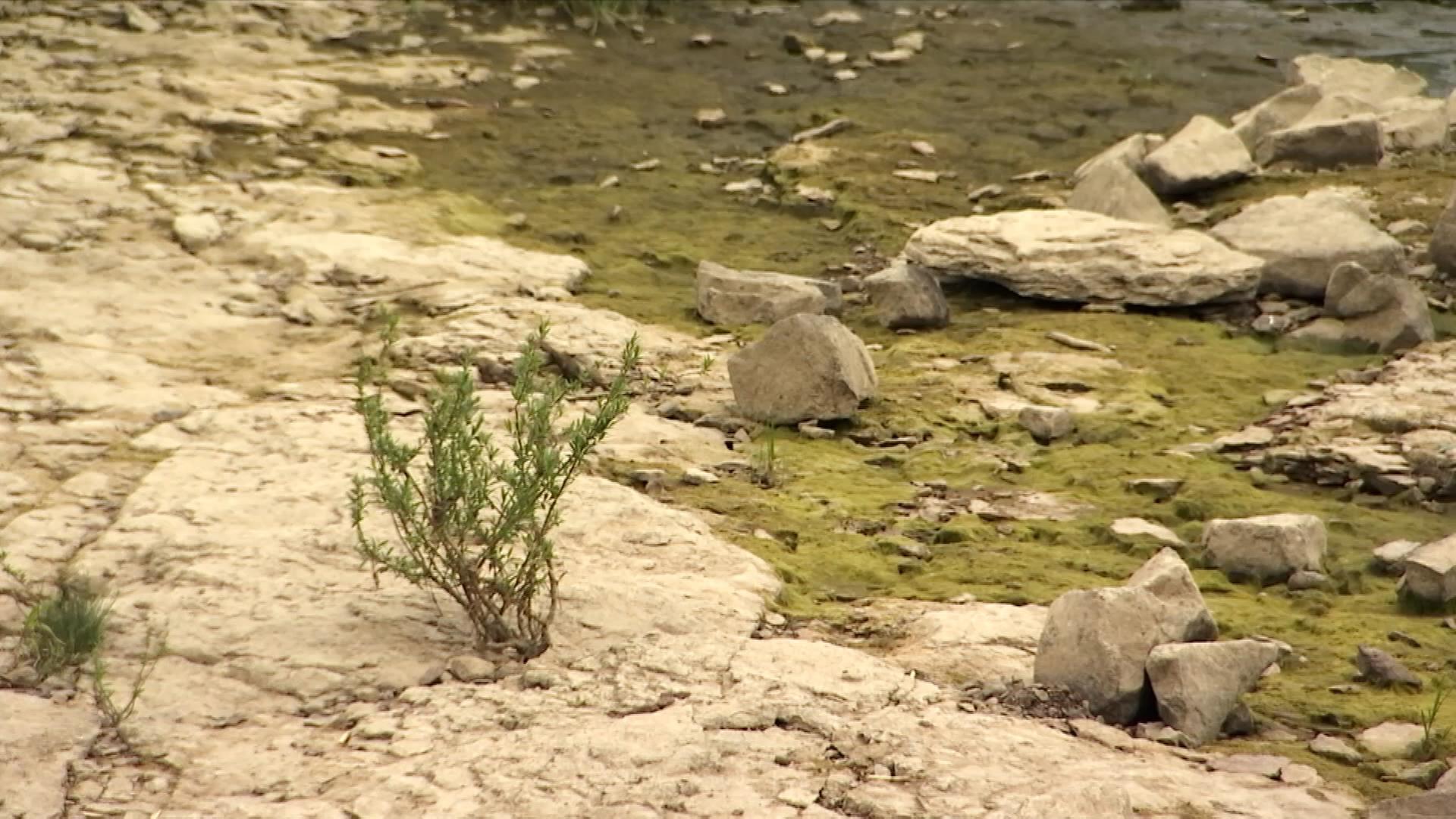 Landkreise rufen Wassernotstand aus