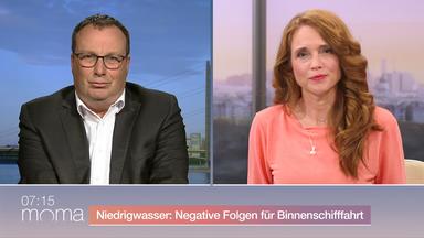 wasserstand-rhein-wirtschaft-