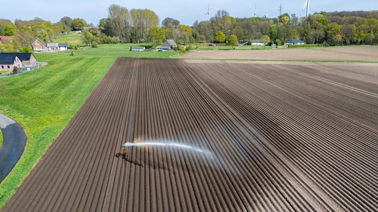Künstliche Bewässerung eines Kartoffelackers südlich von Straelen, NRW: Wegen anhaltender Frühjahrstrockenheit läuft die Beregnung der 7,5 Hektar über drei volle Tage. (Archiv)