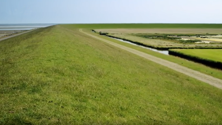 Blick auf einen Deich an der Nordseeküste