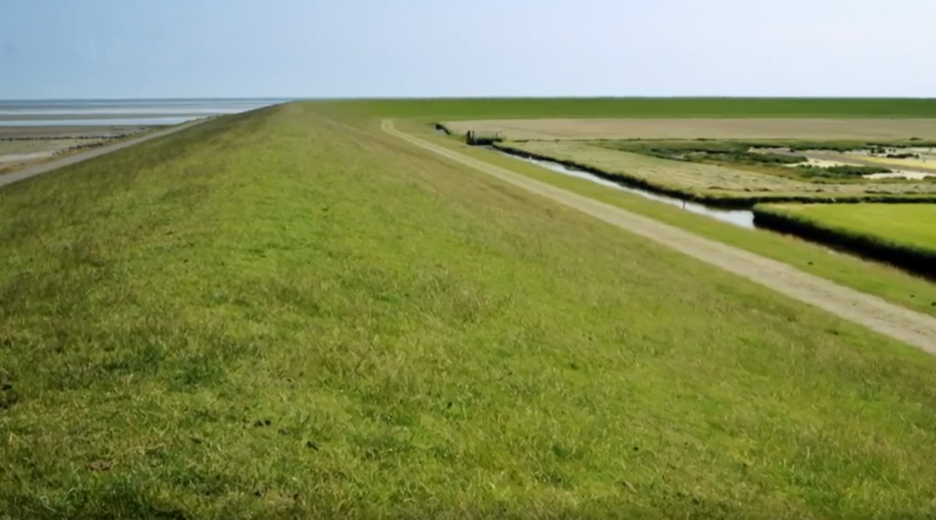 Blick auf einen Deich an der Nordseeküste