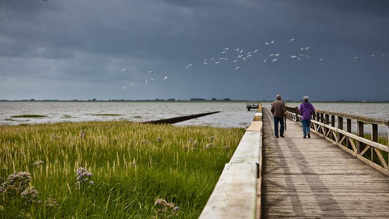 Urlauber auf einem Holzsteg an der Husumer Bucht
