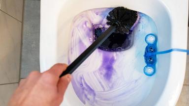 Ein Mann putzt die Toilette mit einer Bürste und einem violetten WC-Reiniger.
