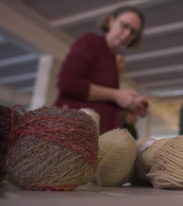 Wegwerfprodukt Lammwolle