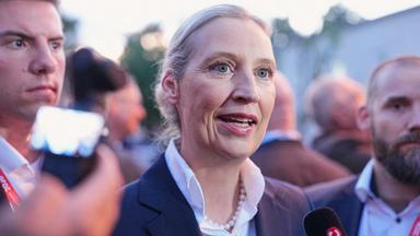 Alice Weidel gibt bei der Wahlparty der AfD vor dem Alten Theater ein Interview. 