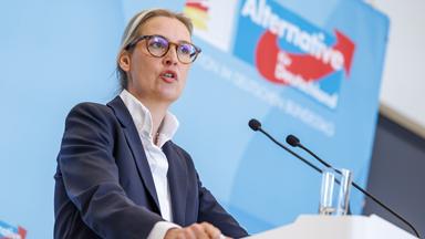 "Kaum Neues": Weidel kritisiert Merz-Rede in Davos