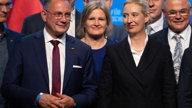 Bundesparteitag der AfD
