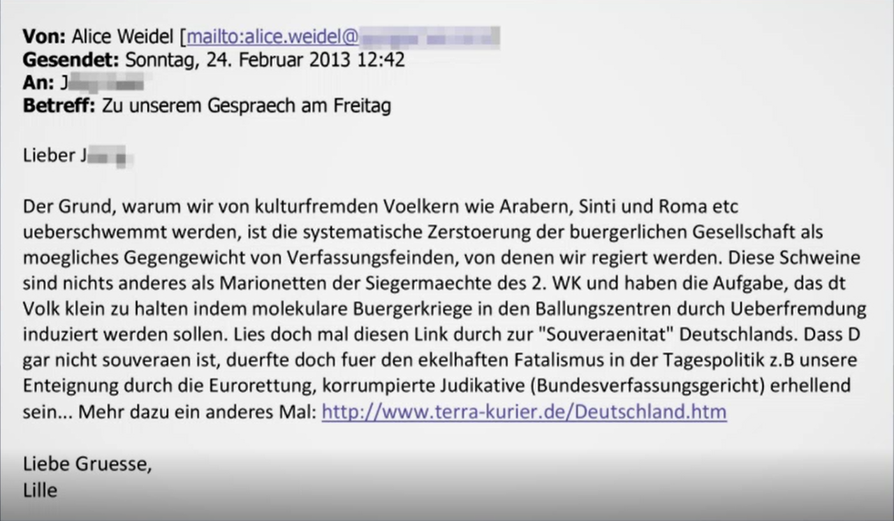Diese Mail soll Alice Weidel 2013 geschrieben haben