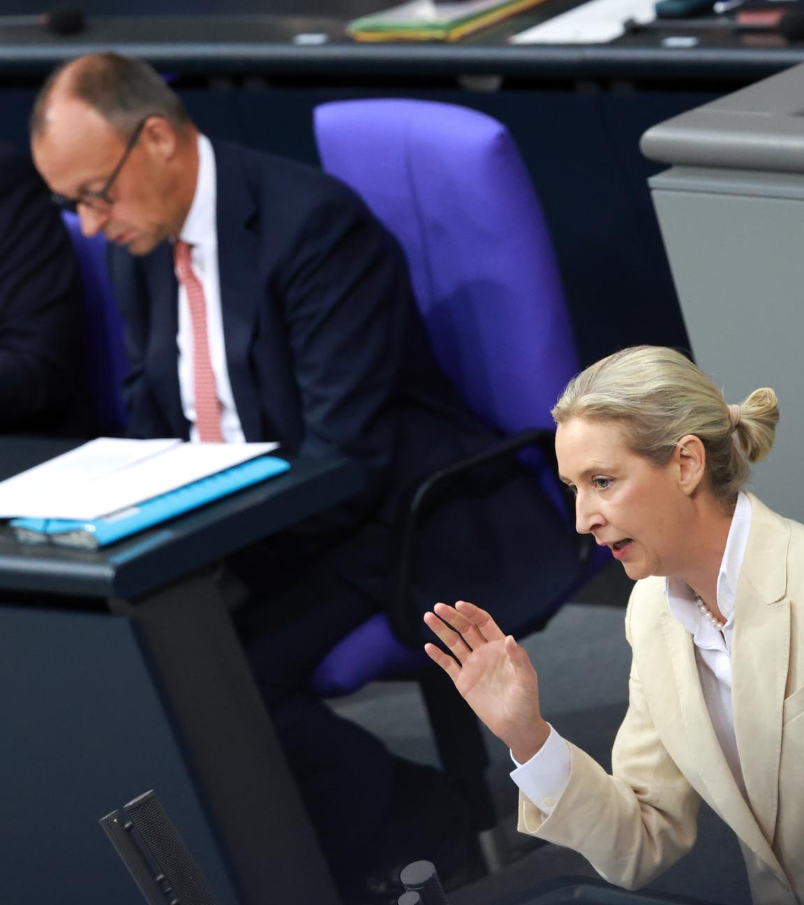 Weidel und Merz im Bundestag