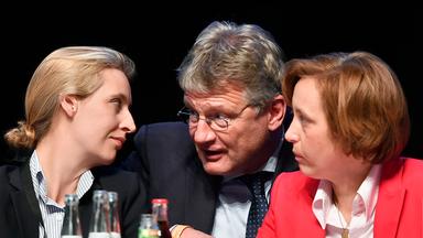 Die drei AfD Spitzenpolitiker Meuthen, Weidel und von Storch auf dem Parteitag