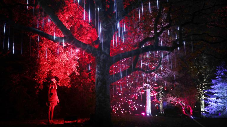 Weihnachten im botanischen Garten in Edinburgh, aufgenommen am 24.11.2017 in Großbritannien