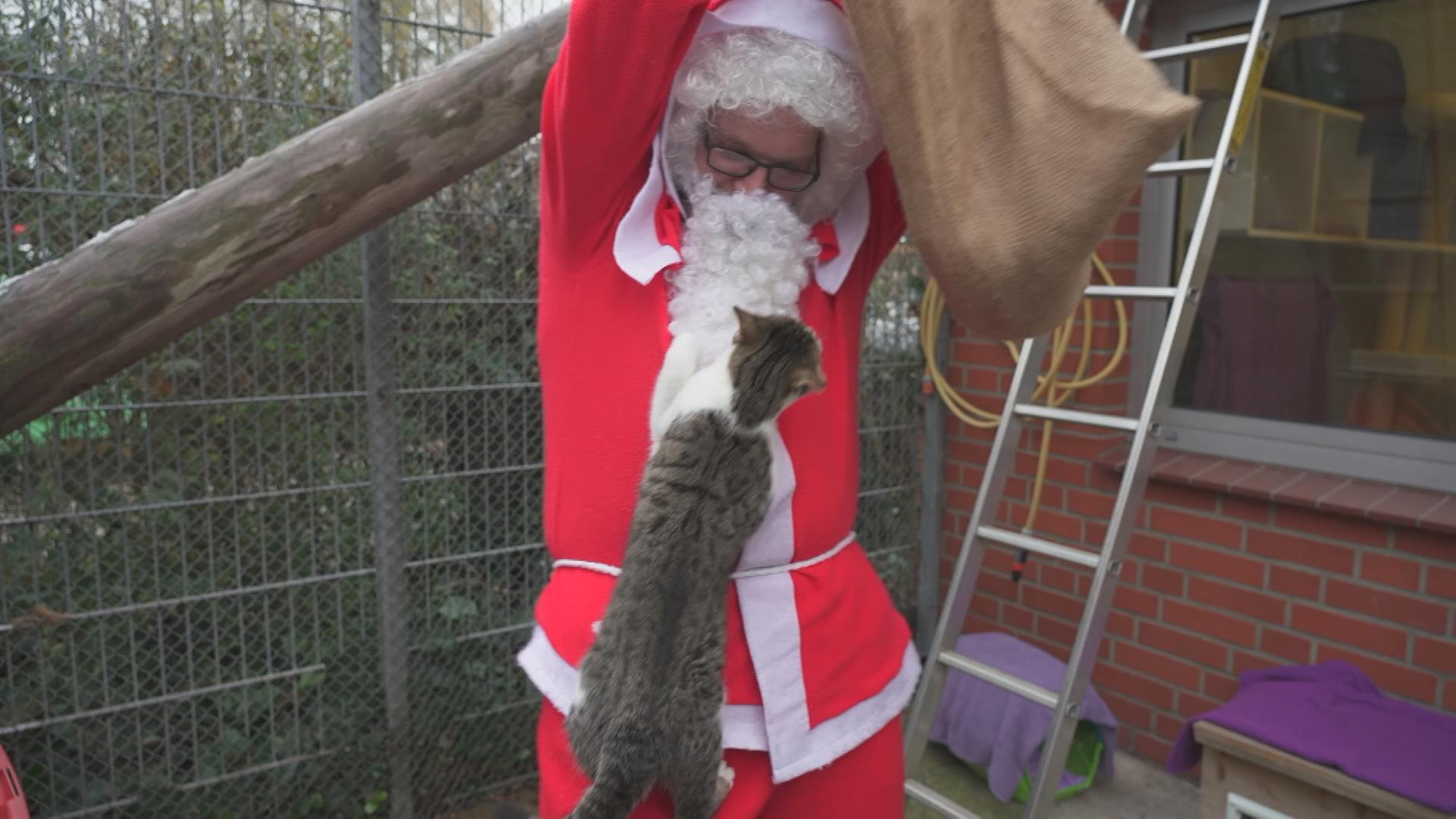 Weihnachten im Tierheim