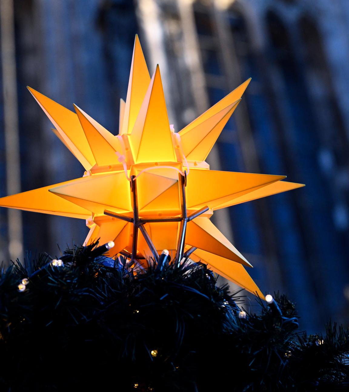 Ein Weihnachtsstern leuchtet am Domvorplatz. 