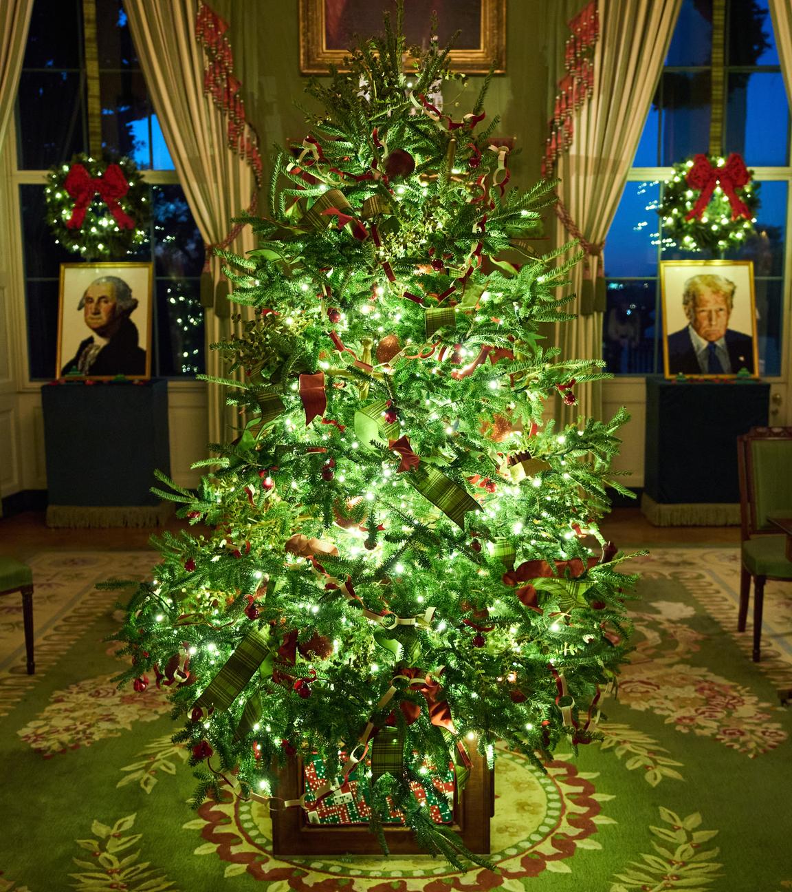 In einem Raum des Weißen Hauses steht ein Tannenbaum