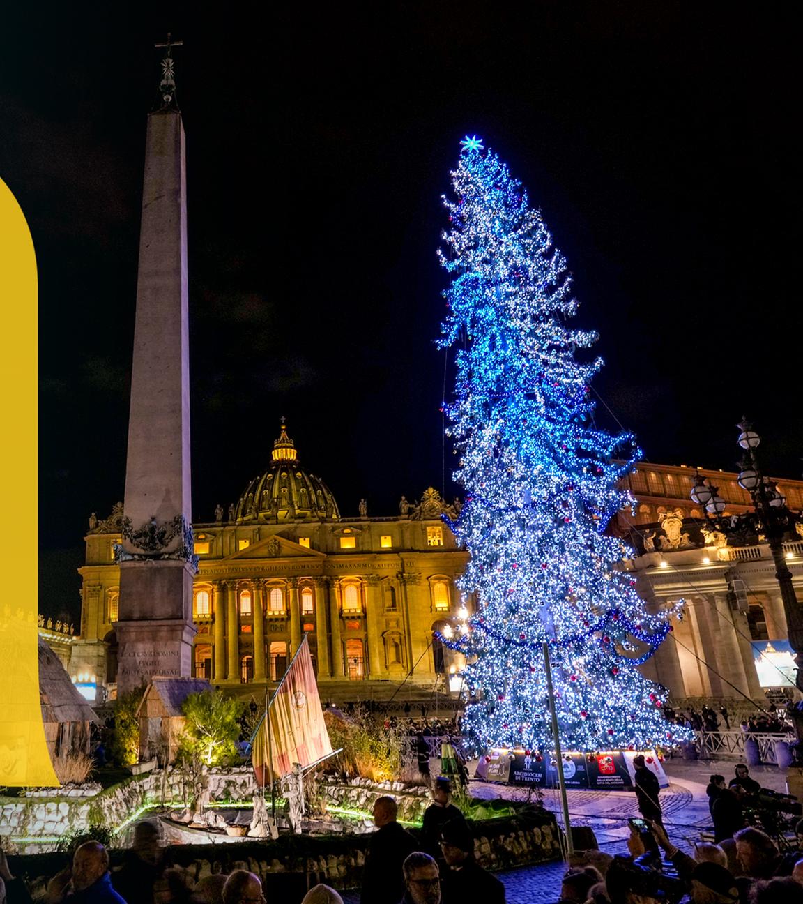 Beleuchteter Weihnachtsbaum auf dem Petersplatz in Rom