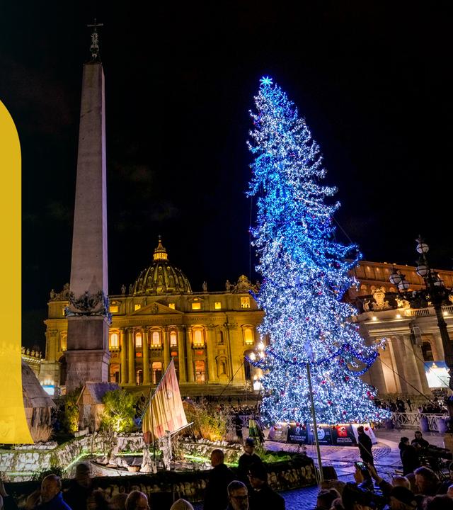 Beleuchteter Weihnachtsbaum auf dem Petersplatz in Rom