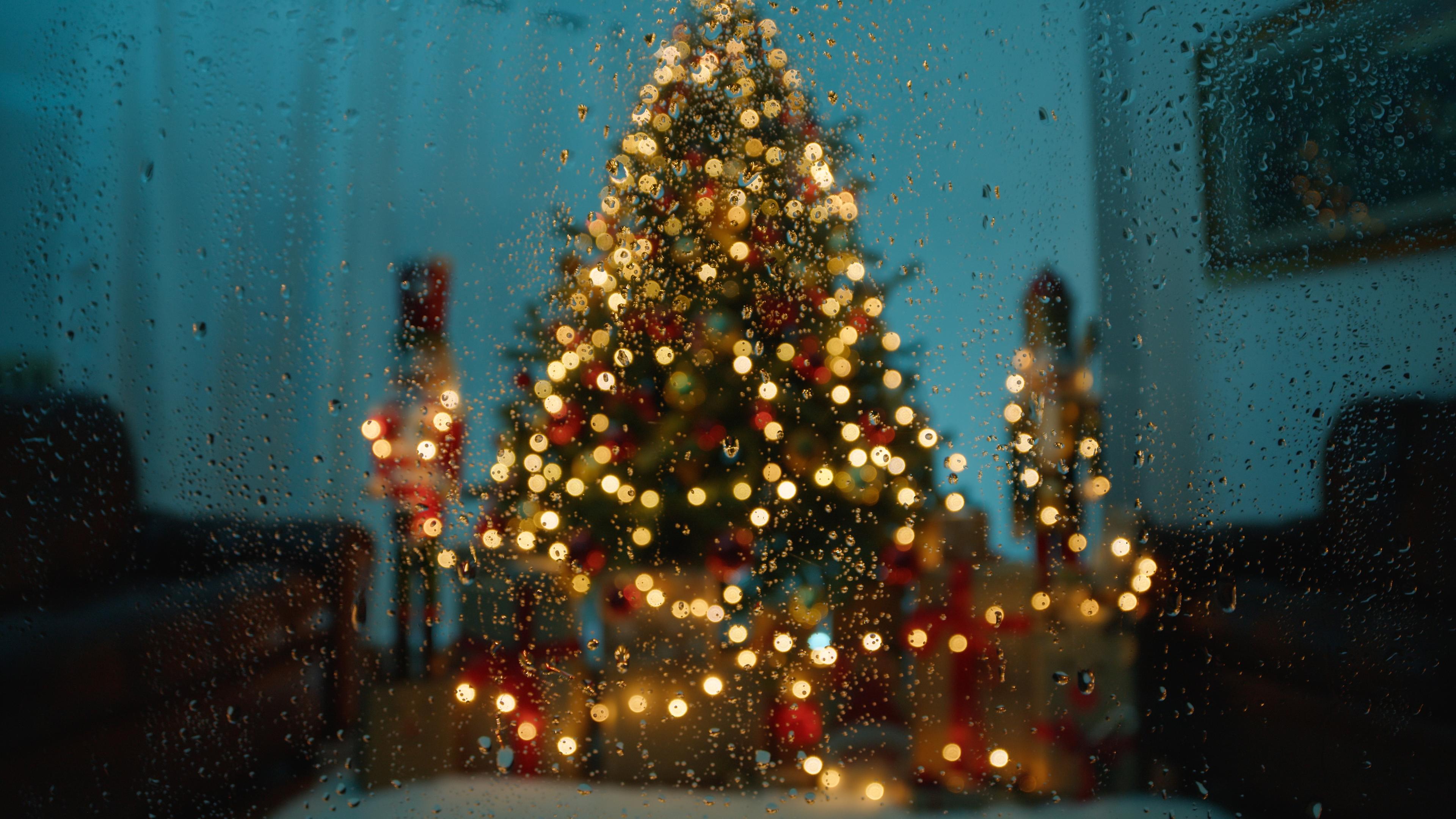 Typical: Weihnachtsbaum