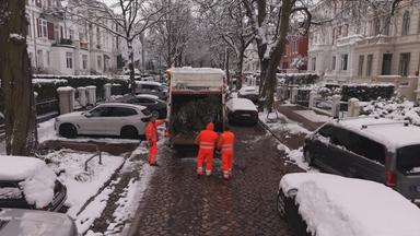Weihnachtsbaum-Entsorgung in Hamburg