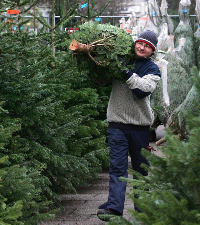 Ein Weihnachtsbaumverkäufer trägt in Berlin einen Tannenbaum zum Verkauf. Archivbild