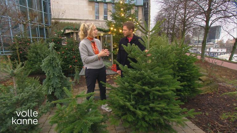 Florian und Weiss und Anja Koenzen stehen an einem Weihnachtsbaum