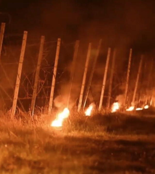 Leuchtende Weinberge als Frostschutz-Maßnahme