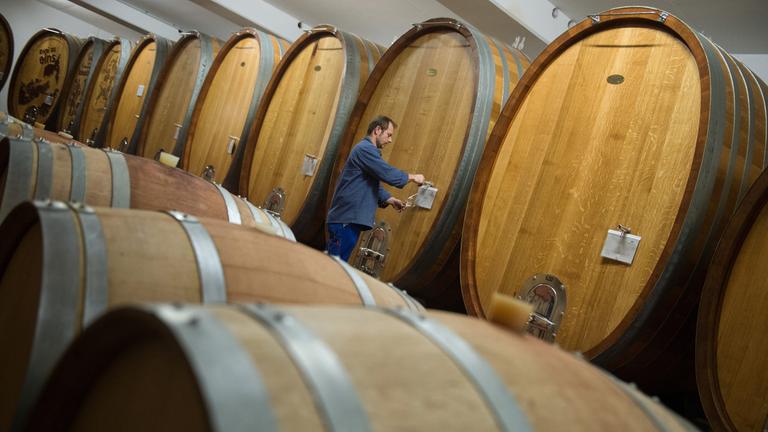 Weinkeller mit Holzfässern