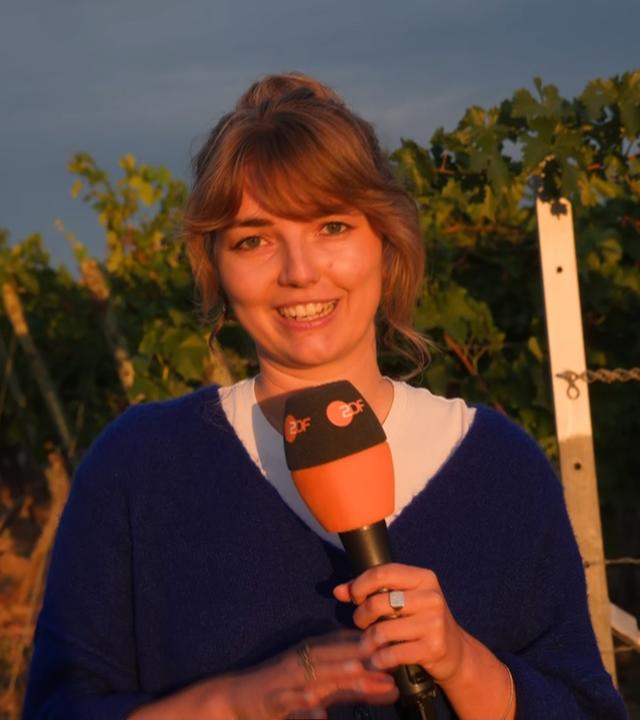 Weinlese