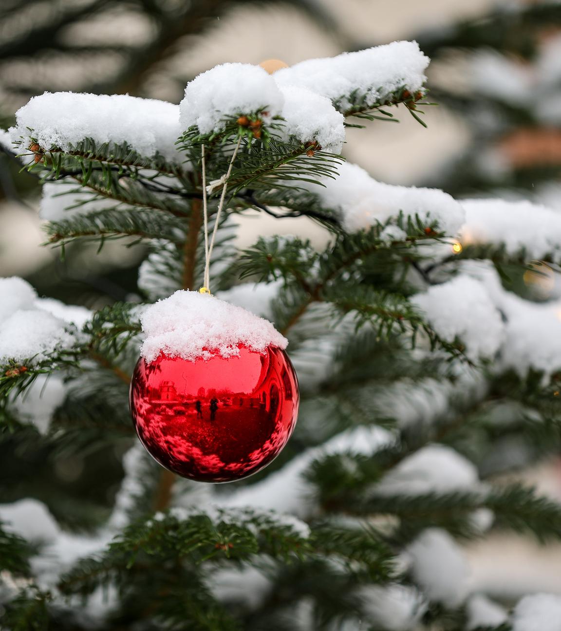 Schnee bedeckt einen Weihnachtsbaum und den Baumschmuck am 01.12.2023 in Grimma, Sachsen.