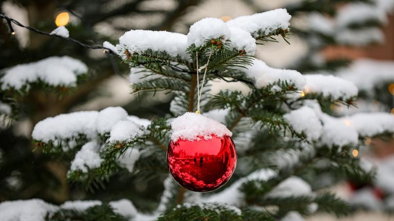 Schnee bedeckt einen Weihnachtsbaum und den Baumschmuck am 01.12.2023 in Grimma, Sachsen.