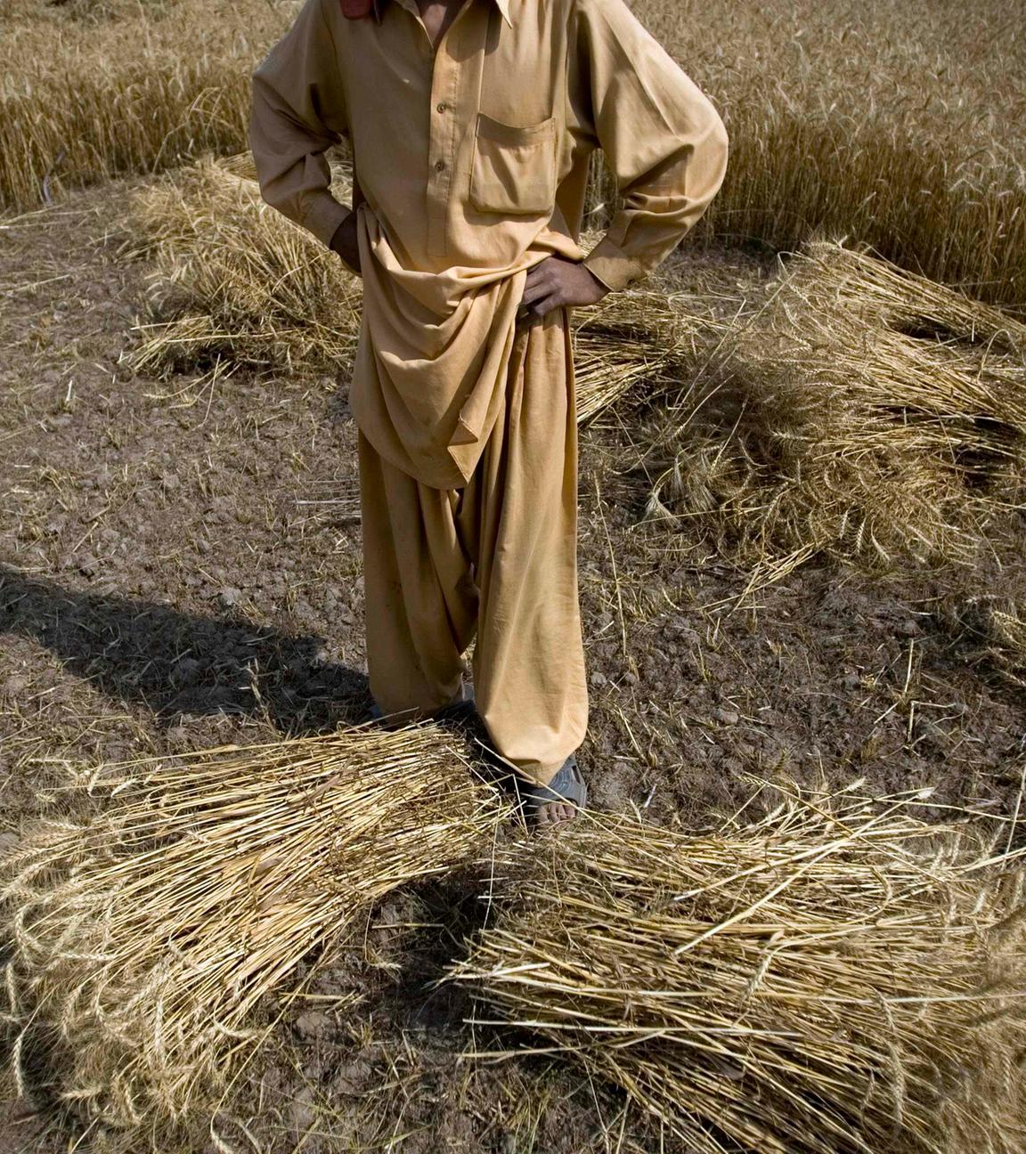 Ein Mann steht in einem Getreidefeld. Er trägt weite beige-braune Kleidung und hat die Hände in die Hüften gestemmt. Vor ihm liegen zwei Getreidebündel.
