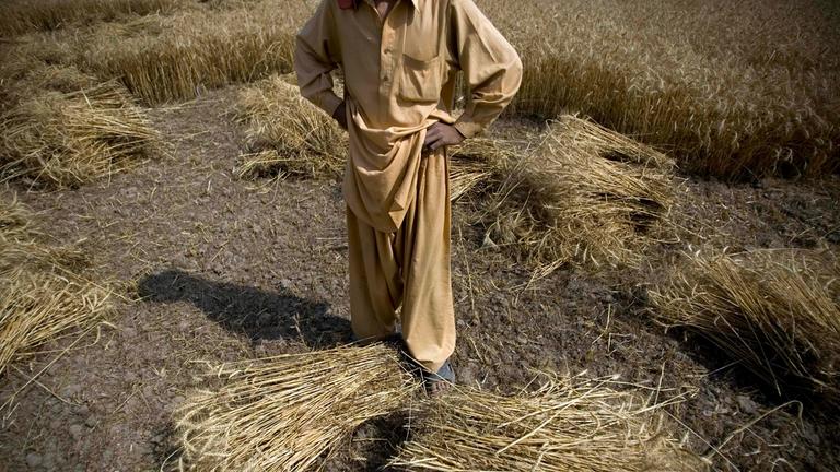 Ein Mann steht in einem Getreidefeld. Er trägt weite beige-braune Kleidung und hat die Hände in die Hüften gestemmt. Vor ihm liegen zwei Getreidebündel.