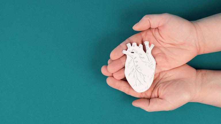 Übereinander liegende Hände halten ein weißes Abbild eines menschlichen Herzens.