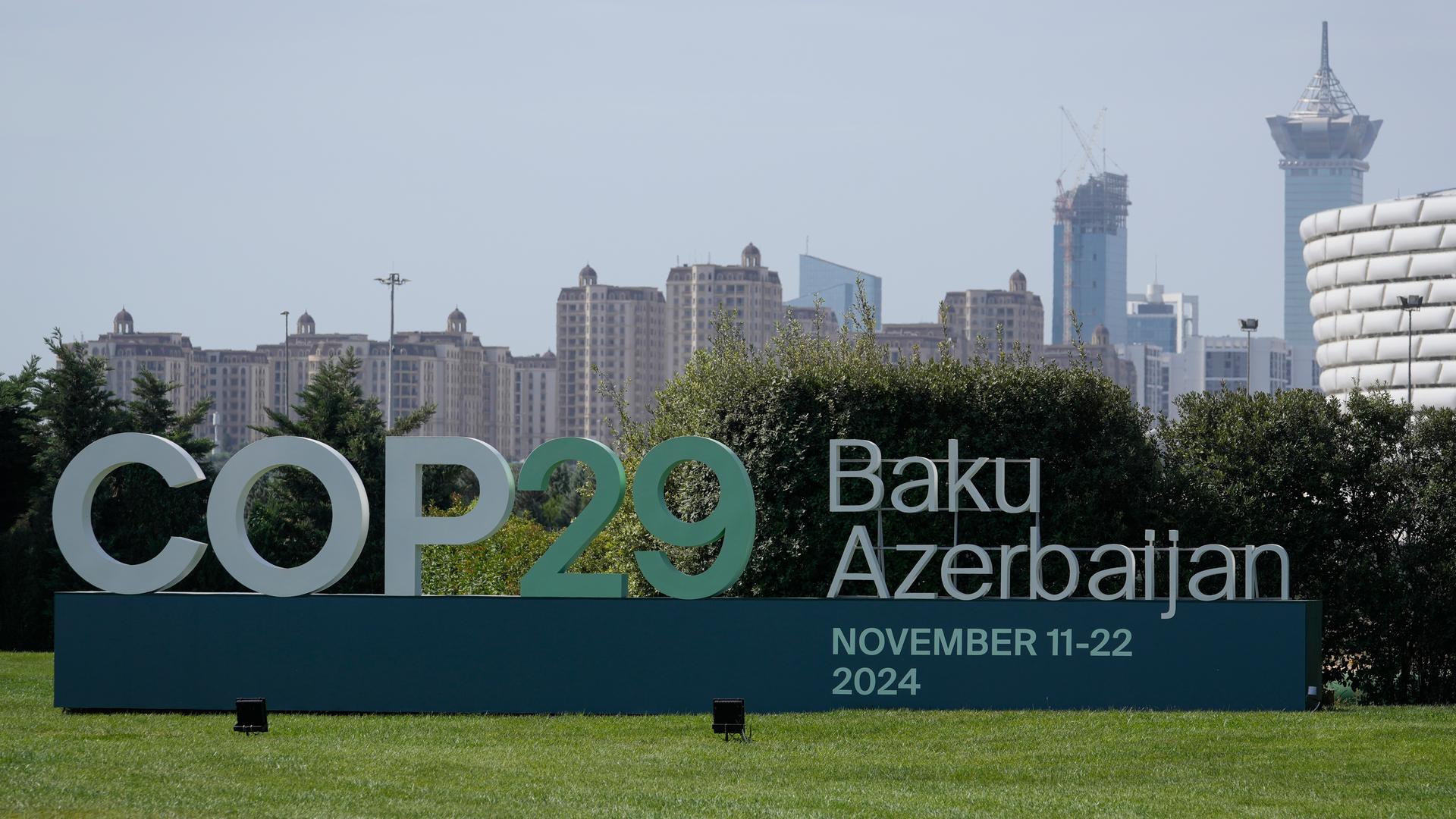 Die Weltklimakonferenz COP29 findet im November in Aserbaidschans Hauptstadt Baku statt.