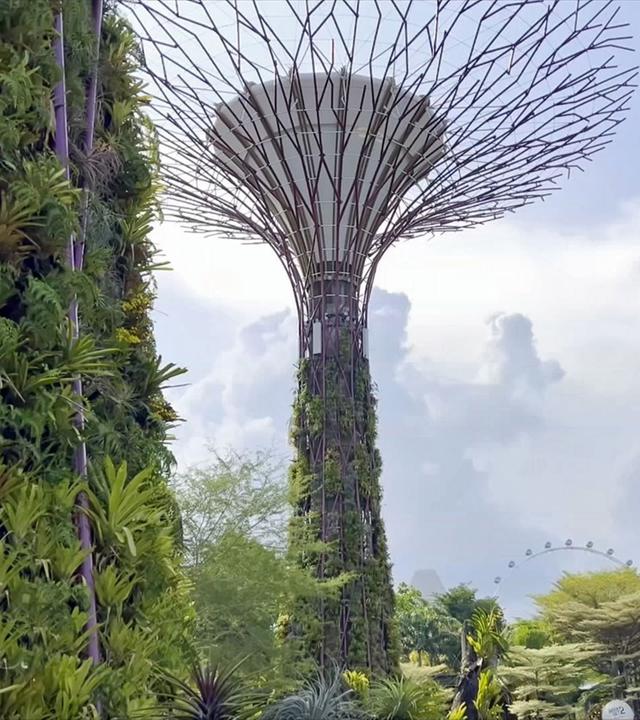 Weltkulturerbe in Singapur