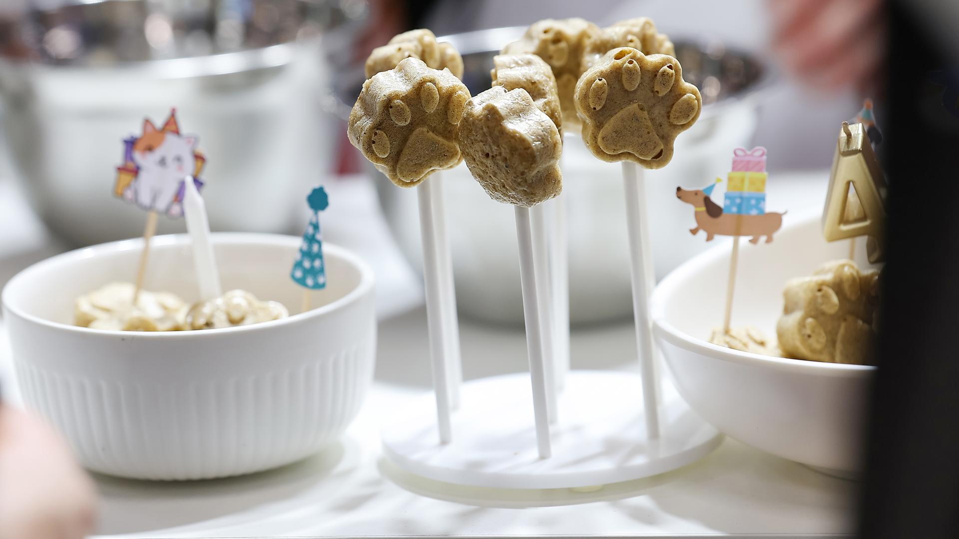 Bayern, Nürnberg: Hundekekse in Pfoten-Form liegt auf der Interzoo, der Weltleitmesse der Heimtierbranche.