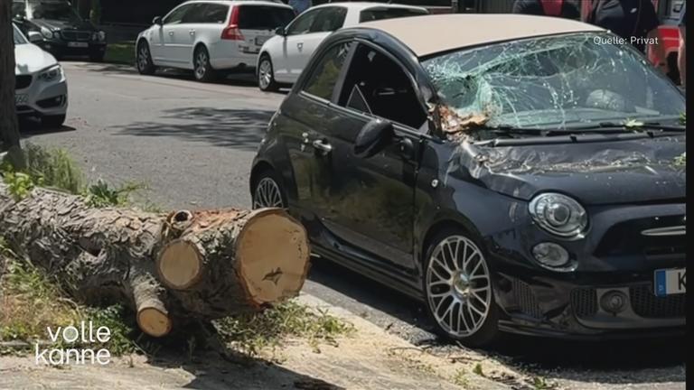 Auto mit Totalschaden 