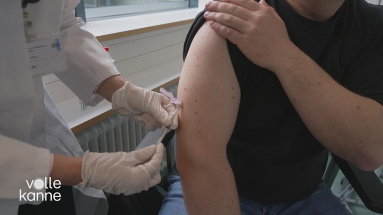 Behandlung von Wespenstich-Allergien