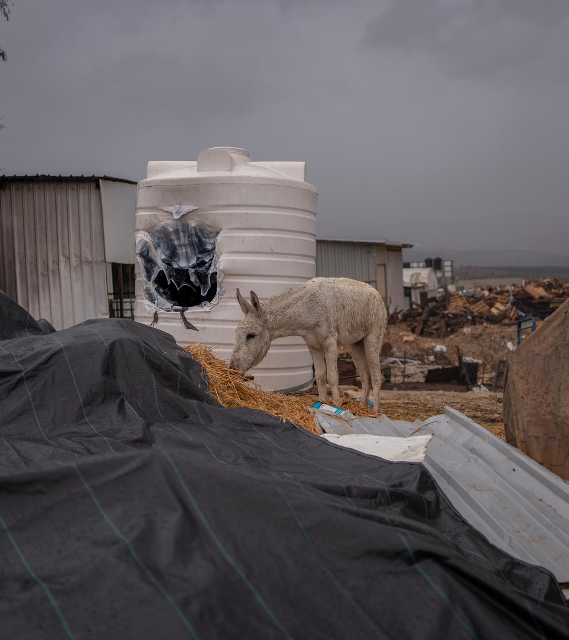 Ein Blick auf die Schäden in einem Industriegebiet nach einem Angriff israelischer Siedler am Rande des Dorfes Beit Lid im nördlichen Westjordanland.