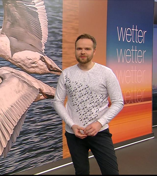 Benjamin Stöwe