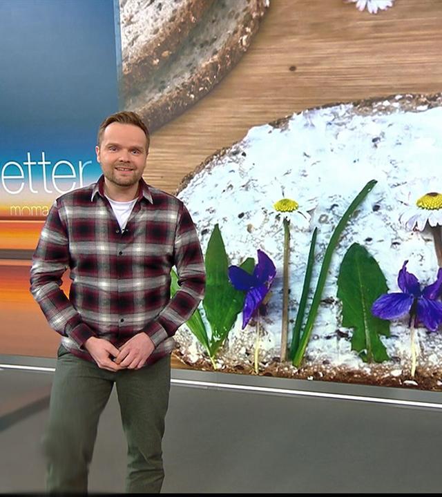 Benjamin Stöwe präsentiert das Wetter
