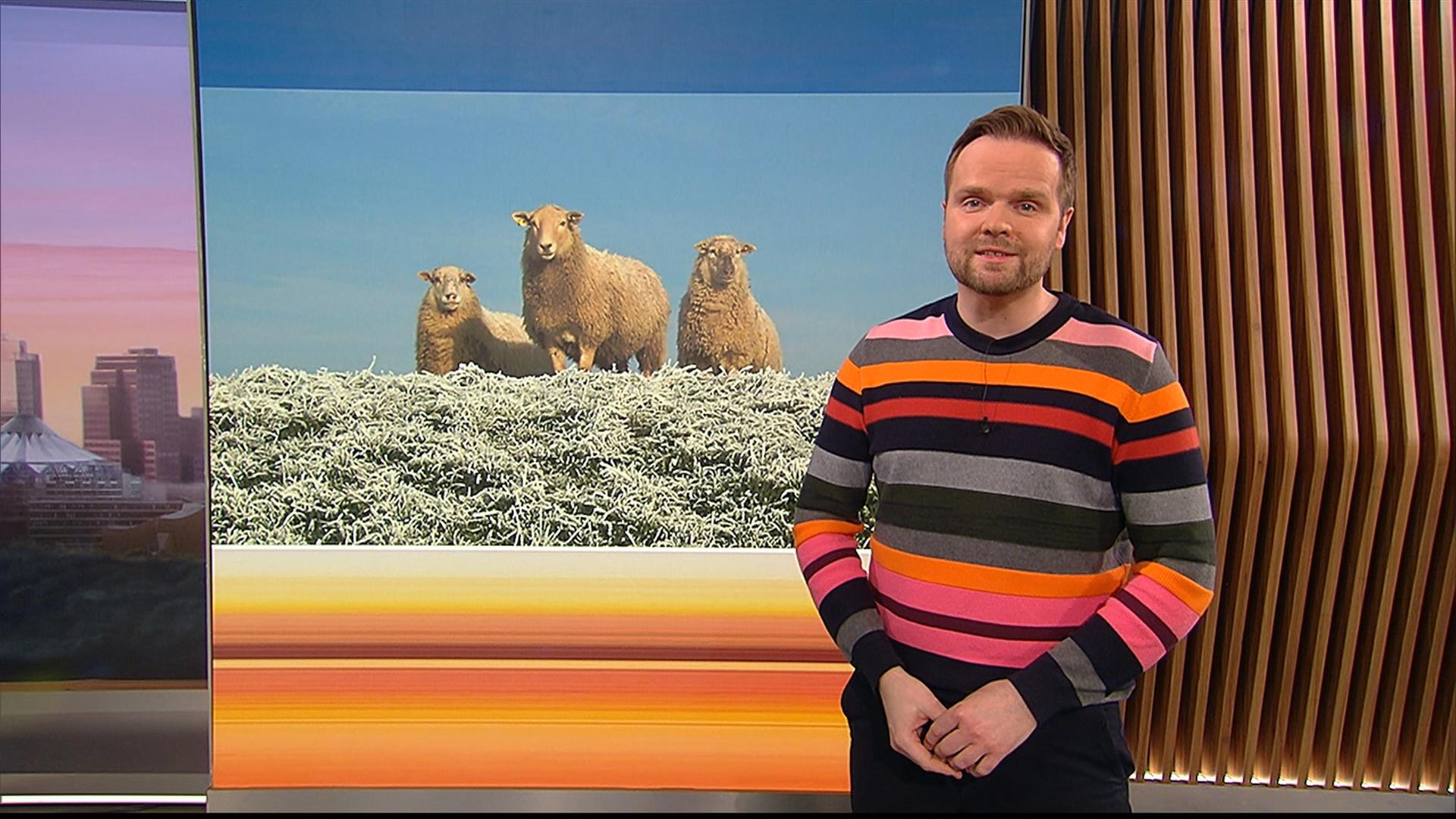 Benjamin Stöwe präsentiert das Wetter