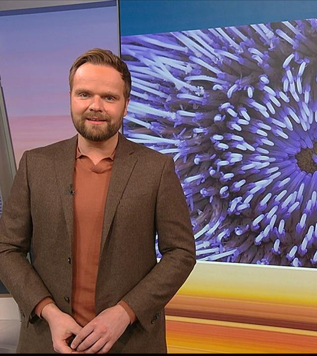 Benjamin Stöwe