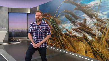 Benjamin Stöwe präsentiert das Wetter