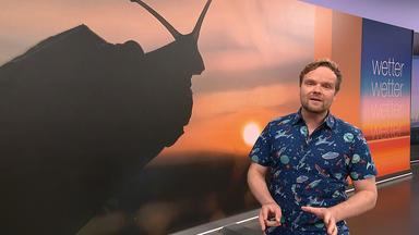 Benjamin Stöwe präsentiert das Wetter