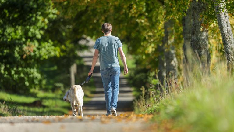 Baden-Württemberg, Gomadingen: Ein Mann geht im Sonnenschein mit seinem Hund auf der Schwäbischen Alb spazieren.