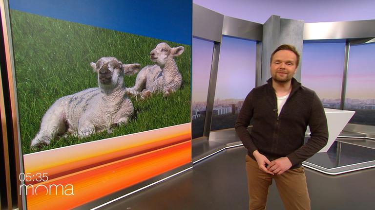 wetter-donnerstag-stoewe-