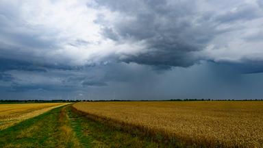 Gewitterwolken ziehen über die Landschaft im östlichen Brandenburg.